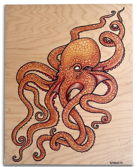 Octopi  8×10 Wood Print